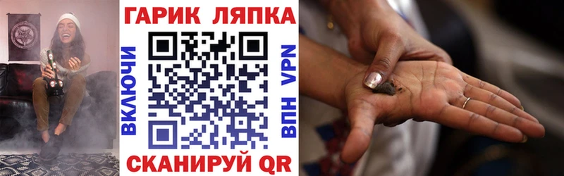 Купить где  Приморск  ГАШ гарик 