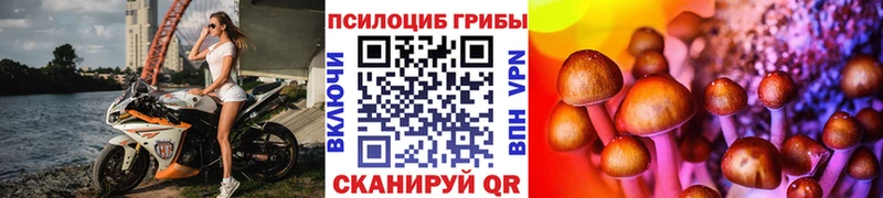 Псилоцибиновые грибы прущие грибы Приморск