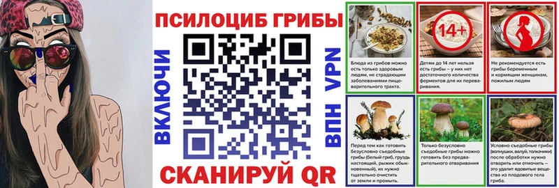 Купить закладки  Приморск  Псилоцибиновые грибы мухоморы 